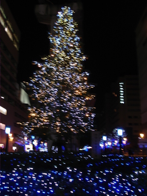 20081227 立川 燦燦ｲﾙﾐﾈｰｼｮﾝ3.JPG