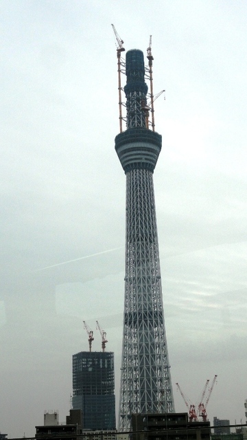 20101114 1東京ｽｶｲﾂﾘｰ.JPG