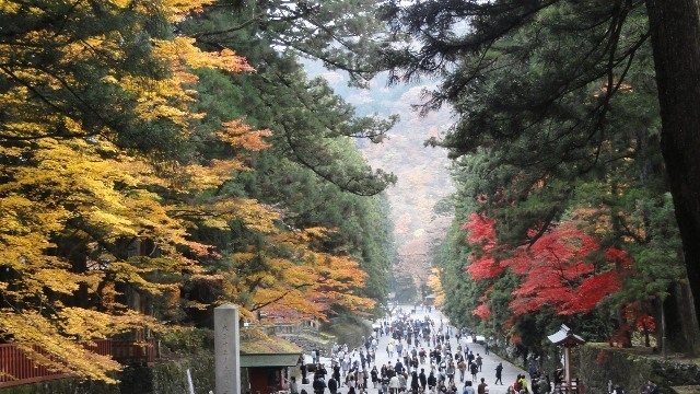 20101114 9東照宮2.JPG